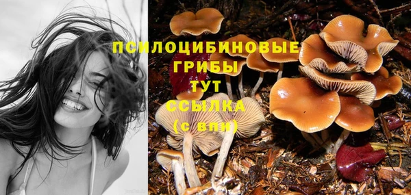 тгк Абаза
