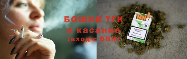 тгк Абаза