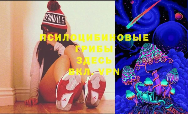 сатива Кинешма