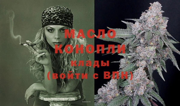тгк Абаза