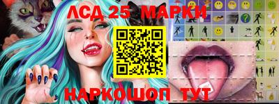 прущие грибы Кандалакша