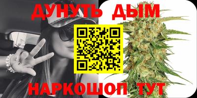 прущие грибы Кандалакша