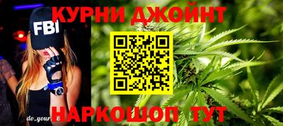 прущие грибы Кандалакша