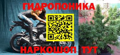 ГАЛЛЮЦИНОГЕННЫЕ ГРИБЫ Канаш
