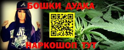 прущие грибы Кандалакша