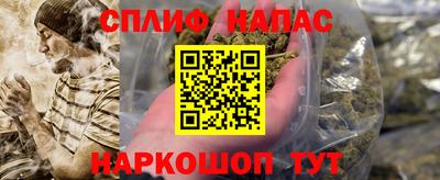 прущие грибы Кандалакша