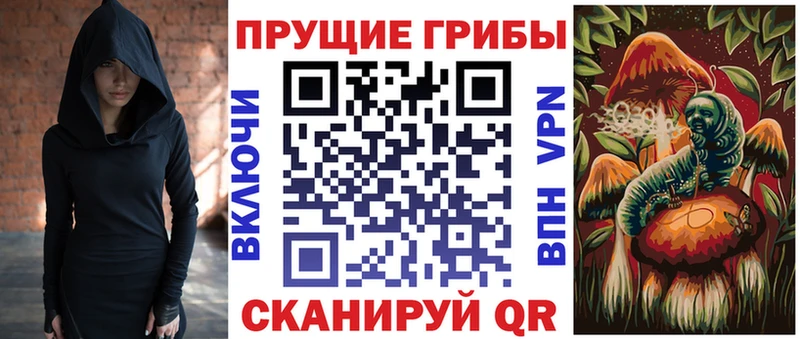 где можно купить наркотик  площадка какой сайт  Псилоцибиновые грибы ЛСД  Нижнекамск 