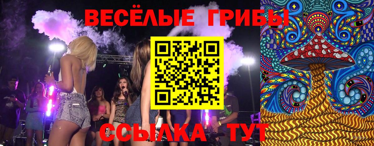 Псилоцибиновые грибы Psilocybe Нижнекамск